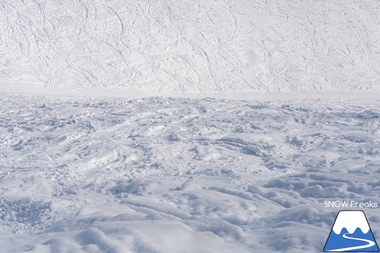 札幌藻岩山スキー場｜ふわっふわの粉雪シーズン到来！思いっきり多彩なコースを楽しみましょう！